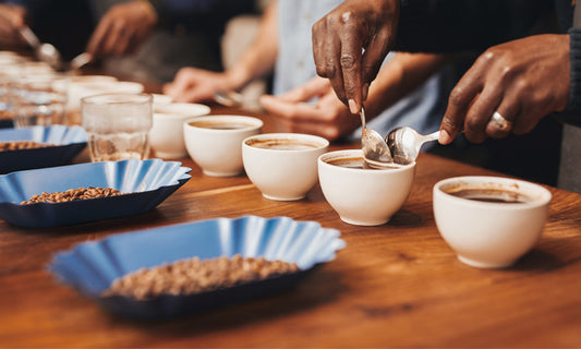 Coffee Tasting Guide: Savor the Flavor Like a Pro